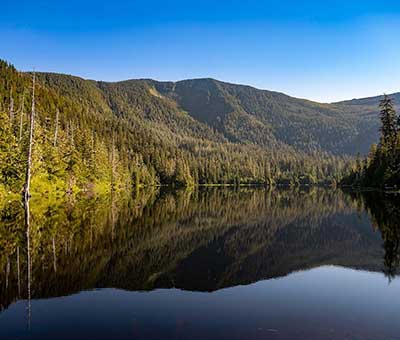 Photo of Alaska lake forest hike thumbnail