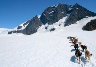 Photo of dog sledding in juneau