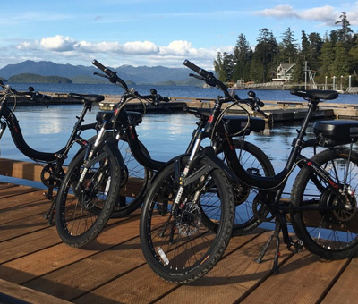 Photo of Electric Bike thumbnail