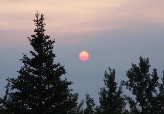 Photo of midnight_sun_Denali_ATV