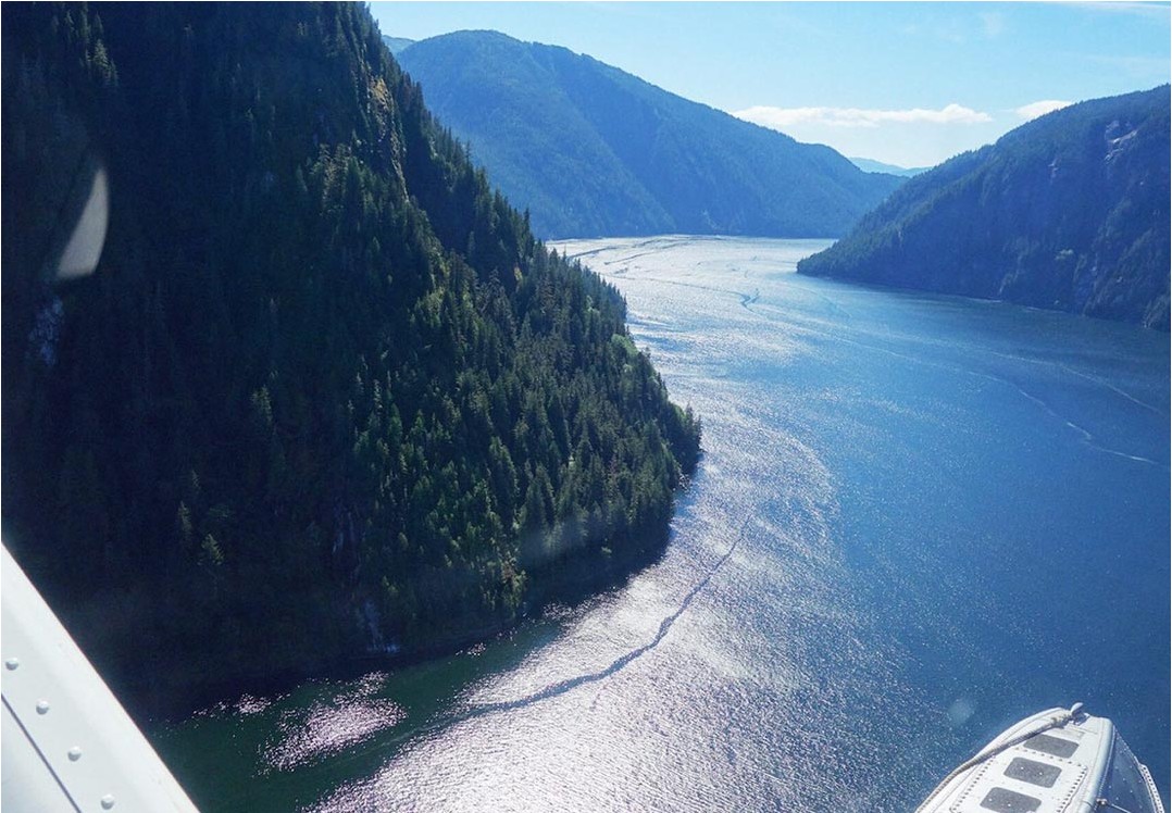 Photo of misty fjords national monument via seaplane tour 1