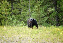 Photo of skagway yukon discovery adventure