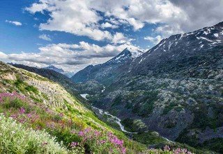 Photo of White Pass Summit Scenery